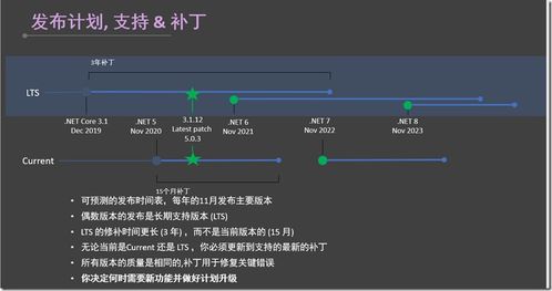 .NET 20周年 应用软件服务的演进与未来趋势随想