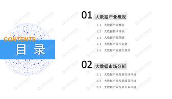 2019年中国大数据产业市场前景研究报告——应用软件服务篇